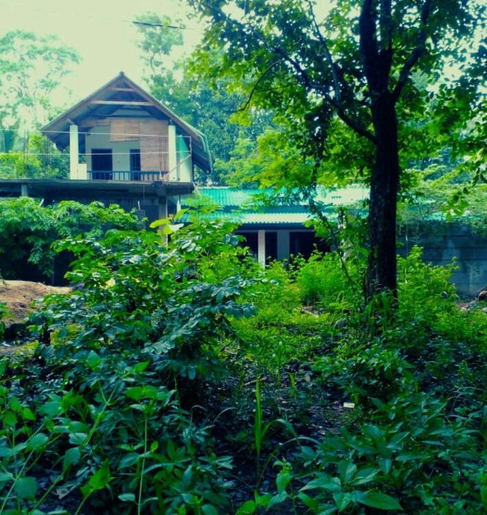 Habarana Dulwan Guest House Zewnętrze zdjęcie